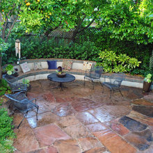 Redwood Tree Replacement Ideas