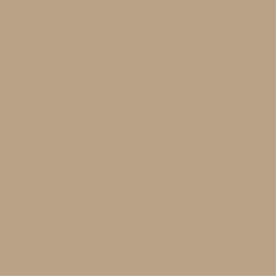 Benjamin Moore Sherwood Tan 1054 - Paint