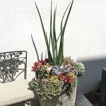 Planters