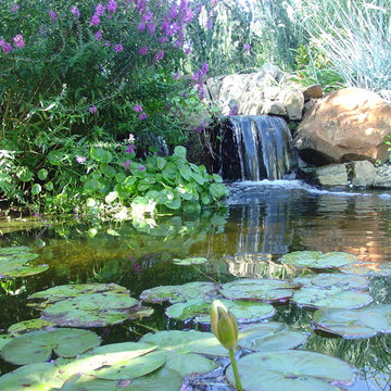 Garden Ponds