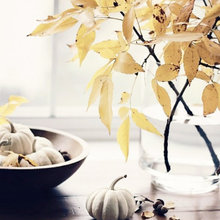 Fall Decor