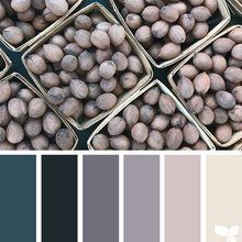 color pallette