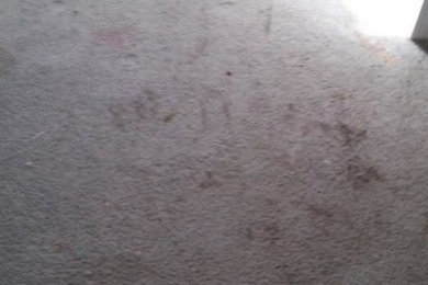 Before & After Photos ~ Residential Carpet Cleaning in Shelton, WA