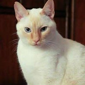 Pat Hofmeister's photo