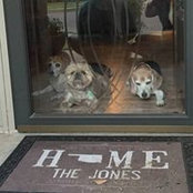 Sharon Jones's photo