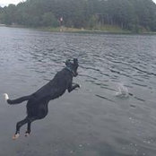Ray Claudel's photo