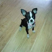 Laura Keener's photo