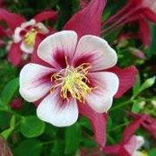 Cindy Hacko's photo