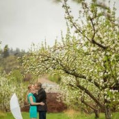 Nicole Schneider-MacRae's photo