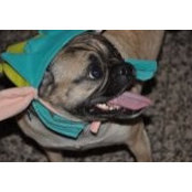 Patty Deininger's photo