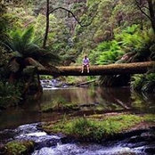 Mitch Russell's photo
