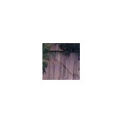 Tracy Murphy's photo
