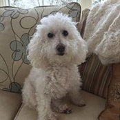 Susan Lammers's photo