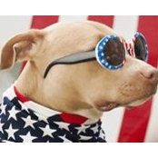 Mike Brahosky's photo