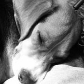 Photo de Jennifer Slagle