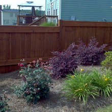 deck and fences