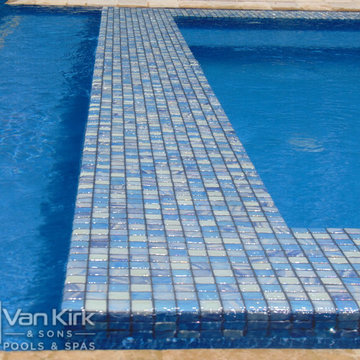 Custom Tile on Sunken Spa For The Vanilla Ice Project Season 5 Pool That Van Kir