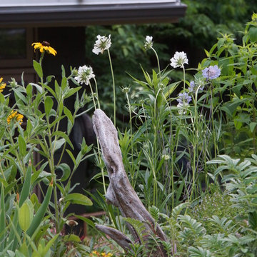Green Roofs