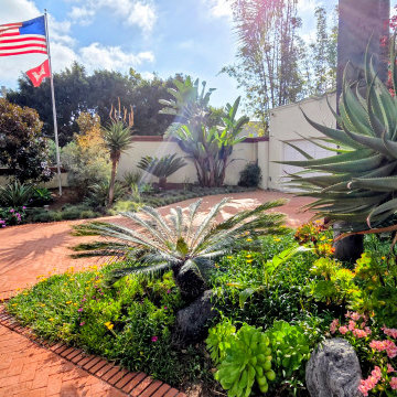 Bold Foliage Along the Drive — Texture and Color in Composition