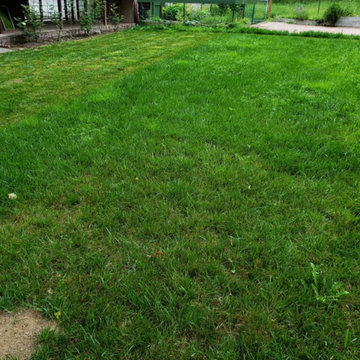 Yard Work