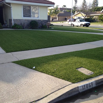 Synthetic Grass
