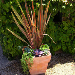 Succulent Containers - Outdoor Pots And Planters