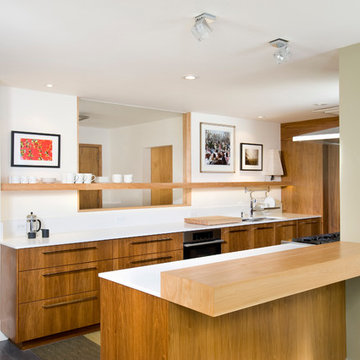 Modern Kitchen