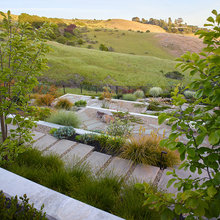 Yard - Terraces