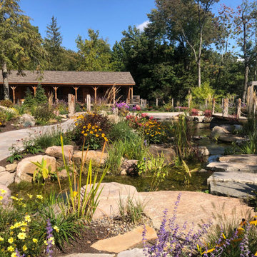 Lake George-Pond & Waterfall