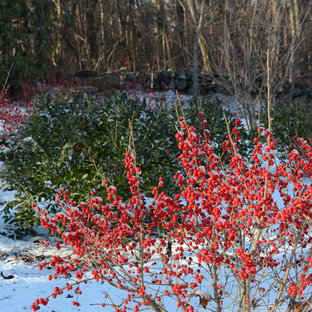 Eklektischer Garten in Boston