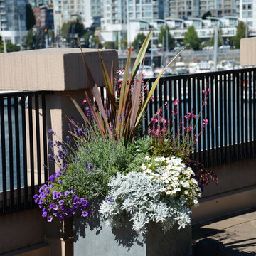 Seaside City Penthouse