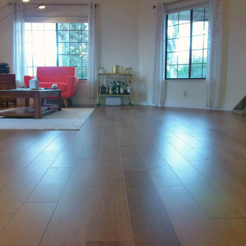 Contemporary Living Room with Medium Hardwood