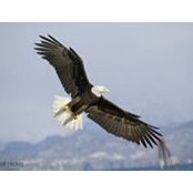 Foto de Bruce Glisson
