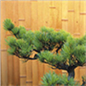 Ryan Hoenle's photo