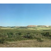 Erin Olson-Zapata's photo