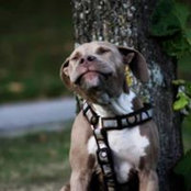 Martina Fielding's photo