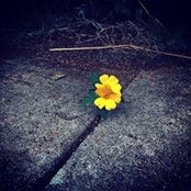 Tamara Li's photo