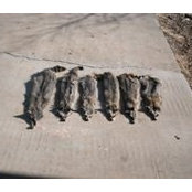 Tony Matthews's photo