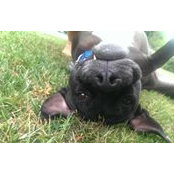 Lijah Barasz's photo