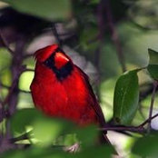 Kelly Calbery's photo