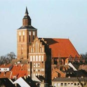Anke Ringel's photo