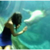 Lindsey Asbury's photo