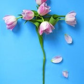 Barb Butz's photo