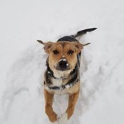 Kathryn Duckworth's photo