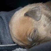 Foto von Dianne Hendricks