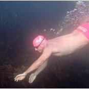 Stephen Coulter's photo