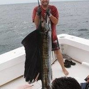 Guillermo Ocampo's photo