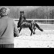 Sabine Maury's photo