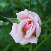 Laura Jayne's photo