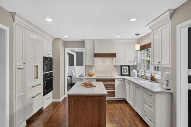 Kitchen - transitional kitchen idea in Detroit